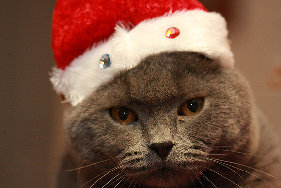 Merry Christmas!